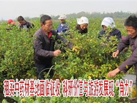租买中药材基地面临征收 科研价值与旅游发展现“角力”
