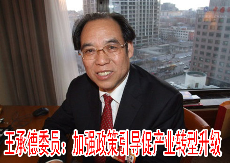 王承德委员：加强政策引导促产业转型升级