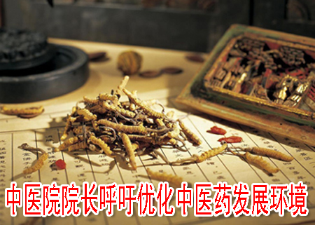 中医院院长呼吁优化中医药发展环境