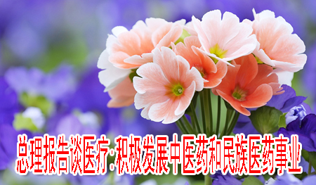 总理报告谈医疗:积极发展中医药和民族医药事业