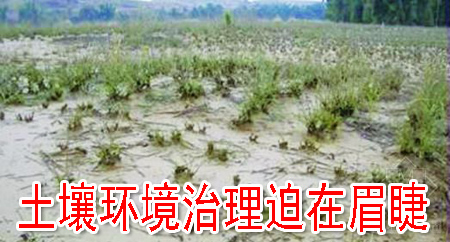 土壤环境治理迫在眉睫