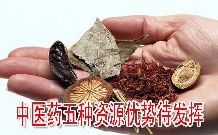 中医药五种资源优势待发挥