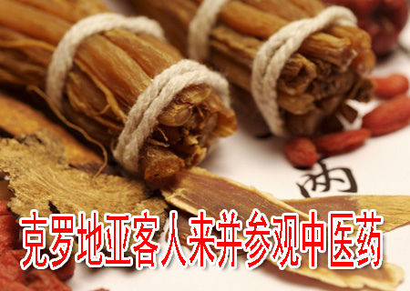 克罗地亚客人来并参观中医药