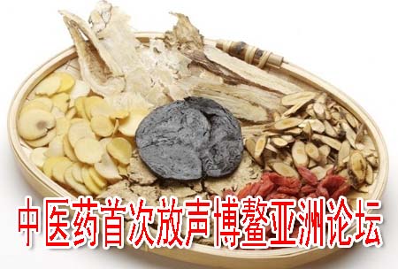 中医药首次放声博鳌亚洲论坛