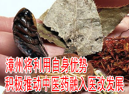 漳州将利用自身优势 积极推动中医药融入医改发展