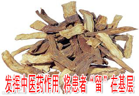 发挥中医药作用 将患者“留”在基层