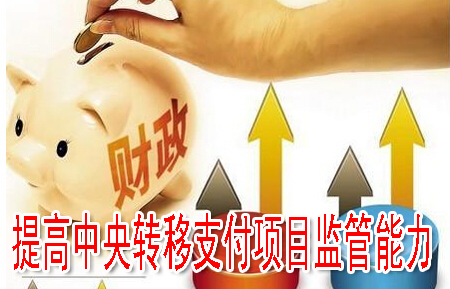 提高中央转移支付项目监管能力