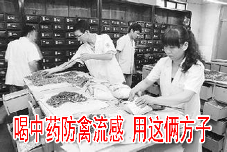 喝中药防禽流感 用这俩方子