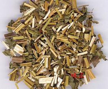 青茎薄荷,排香草,大叶薄荷,绿荷荷,川游香,苏藿香,野藿香,猫尾巴香,猫