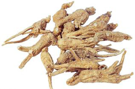 胡疏枝代表:扶持中医药事业发展