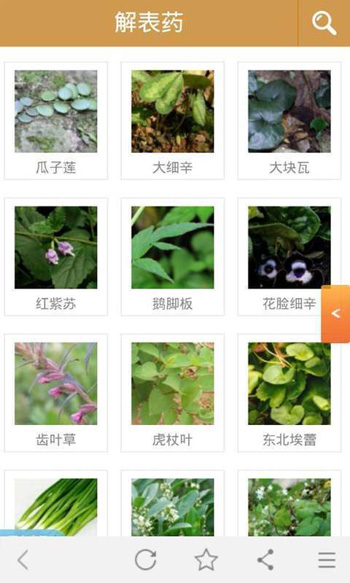 中医博士开发中医手机平台