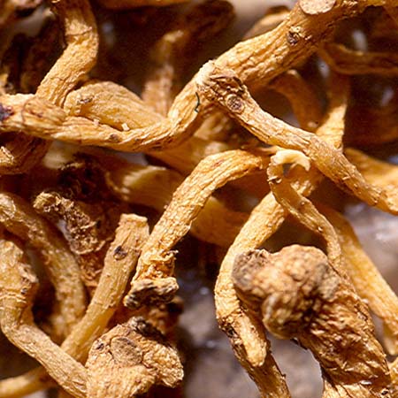 中药热敷治疗骨病效果好