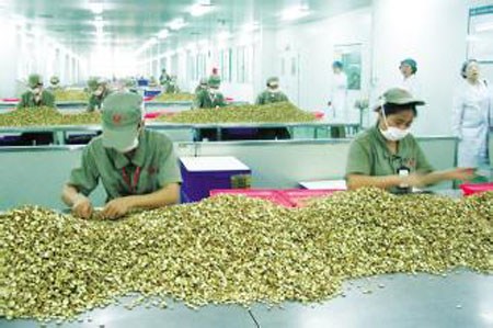 新荷花中药饮片检测报告获国际认可