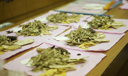 中国中药协会成立四大怀药专业委员会