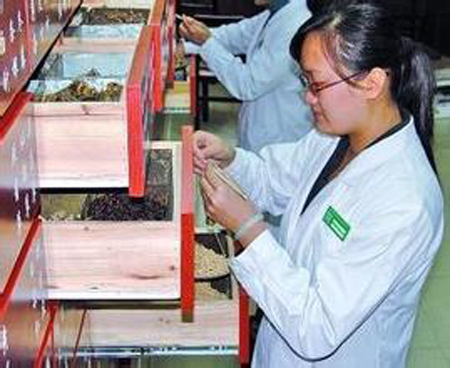 防控疫情需发挥中医药作用