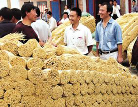 专家提出要保持药材道地性