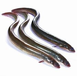  =