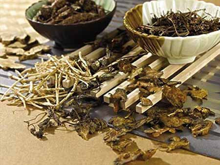中医药走向世界：如何再快一些？