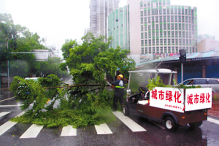 台风“莲花”来袭