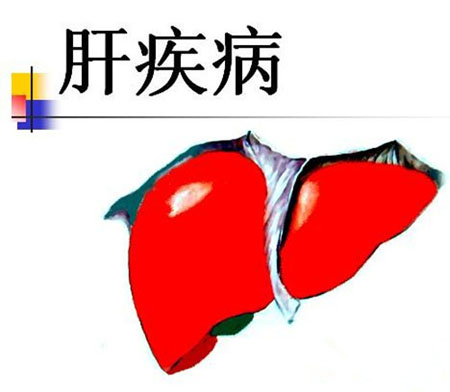 肝胆病防治欲借力网络技术