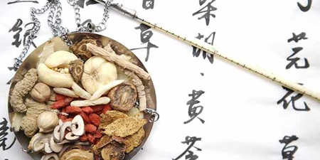 做中药资源的守护者