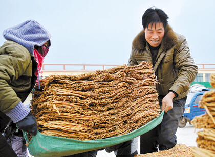 贵州中药民族药产业年度报告