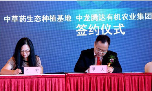 广西华辰药业国家级中医药研发基地启动