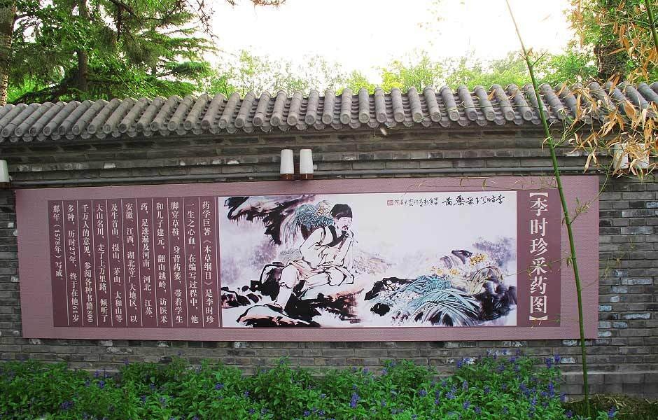 南京首次推出“中医药国际养生旅游项目”