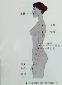 敲敲打打大肠经、胃经，女人的“不老秘方”