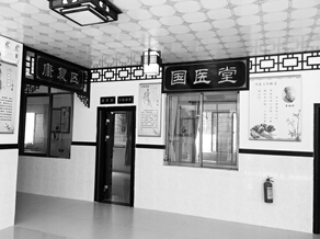 海口加速构建中医药服务网络