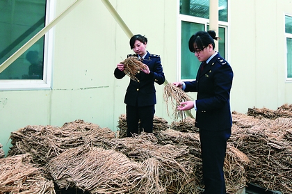 2015年上半年中药材及饮片出口量下降