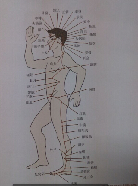 足少阳胆经拔罐线路 