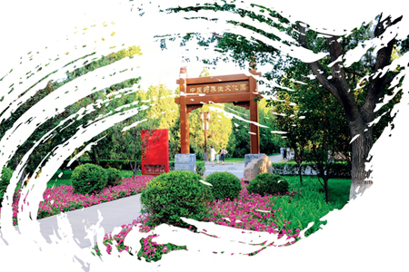 中医药旅游从愿景到现实还需打磨