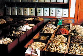 冀州打造华北最大中药材产业化基地