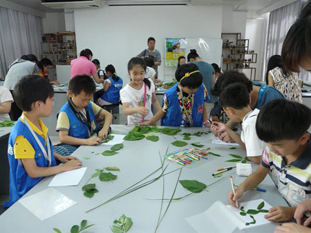 浙江将中医药知识纳入中小学课程教材