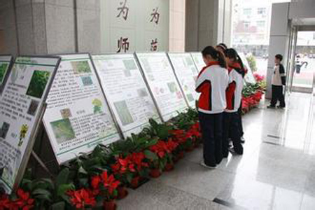 中医药传统文化进校园