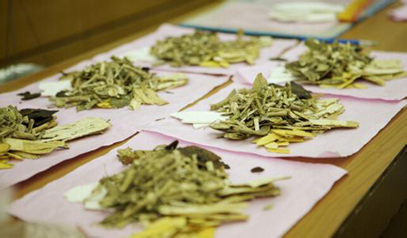 中医药编码国标12月1日起实施