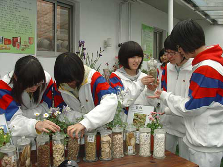 重庆试点中医药文化进校园
