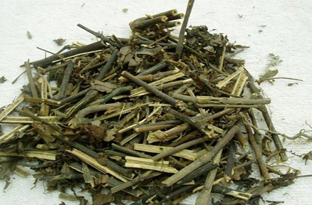 清热解毒常用中药-天葵子
