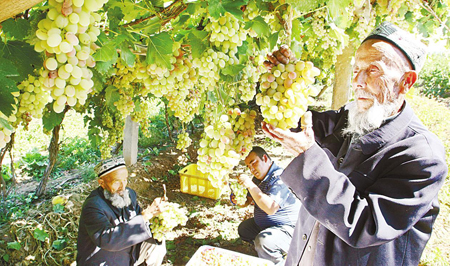 新疆卫生计生先进交流会举行