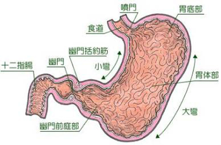 食疗调养常见病-慢性胃炎