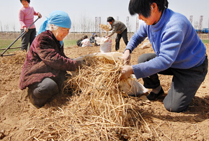 发展中医药产业恰逢时
