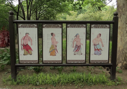 打造中医药振兴发展“江西样板”