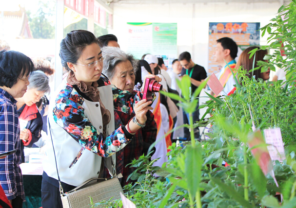 北京地坛中医药健康文化节以多元化展现形式宣传中医药