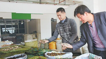 商务部：加快建设全国中药材现代物流体系
