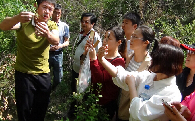 河北省隆化县中医院组织开展“野外中草药采集与辨识”活动