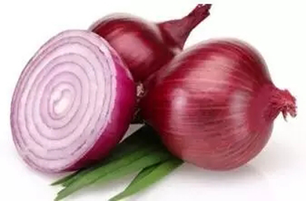 洋葱盆栽开花囹a