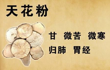 回乡创业成为“药材哥”“公司+农户”带富众乡亲