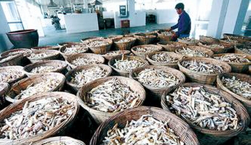 亳州市大力打造国家级现代中药产业