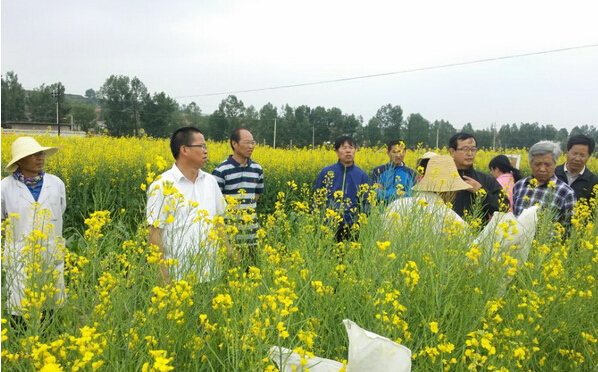 中国中医科学院研发实验服务基地建设项目获验收